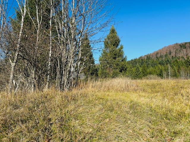 Terreno edificabile Stara Sušica, Ravna Gora, 1.100m2