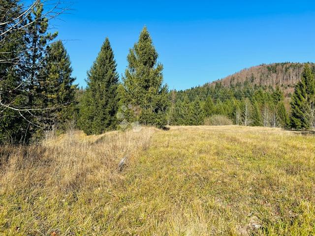 Terreno edificabile Stara Sušica, Ravna Gora, 1.100m2