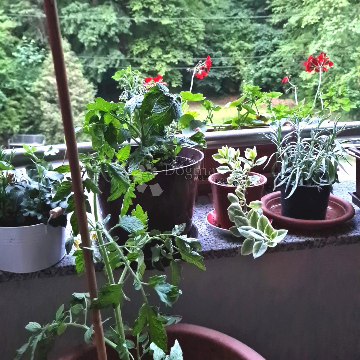 Allogio Šestinski dol, Črnomerec, 65,07m2