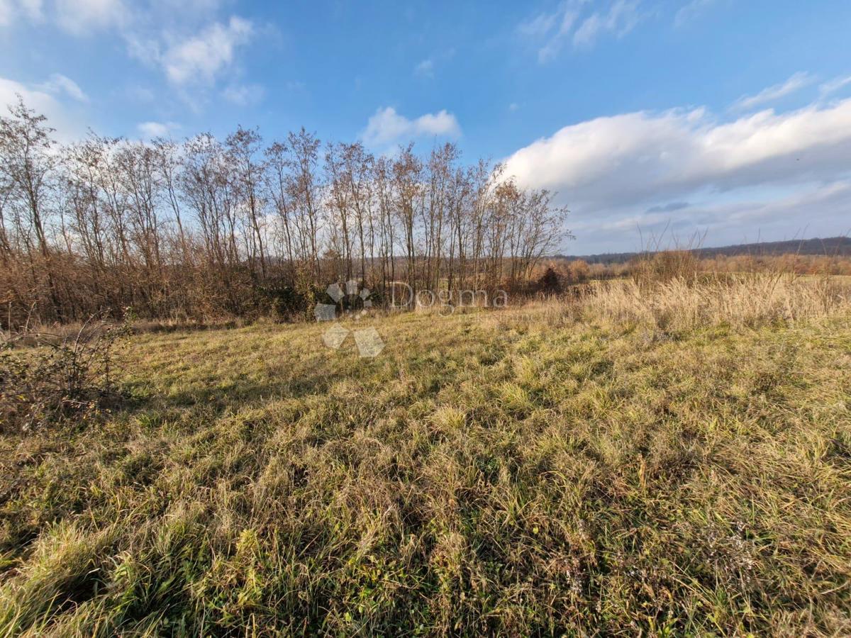 Terreno edificabile Žminj, 1.665m2