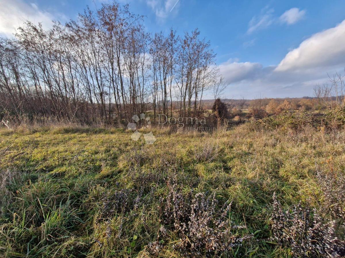 Terreno edificabile Žminj, 1.665m2