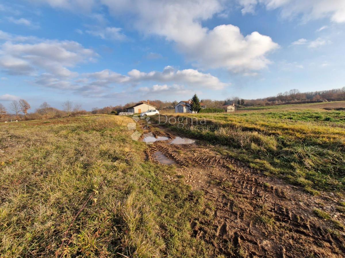 Terreno edificabile Žminj, 1.665m2