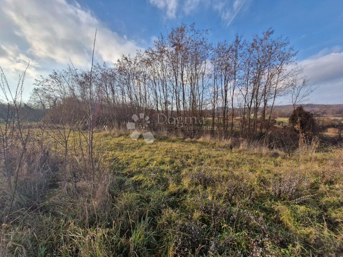 Terreno edificabile Žminj, 1.665m2