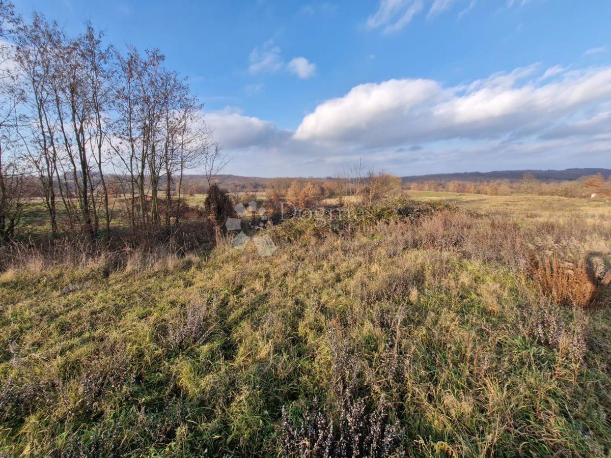 Terreno edificabile Žminj, 1.665m2