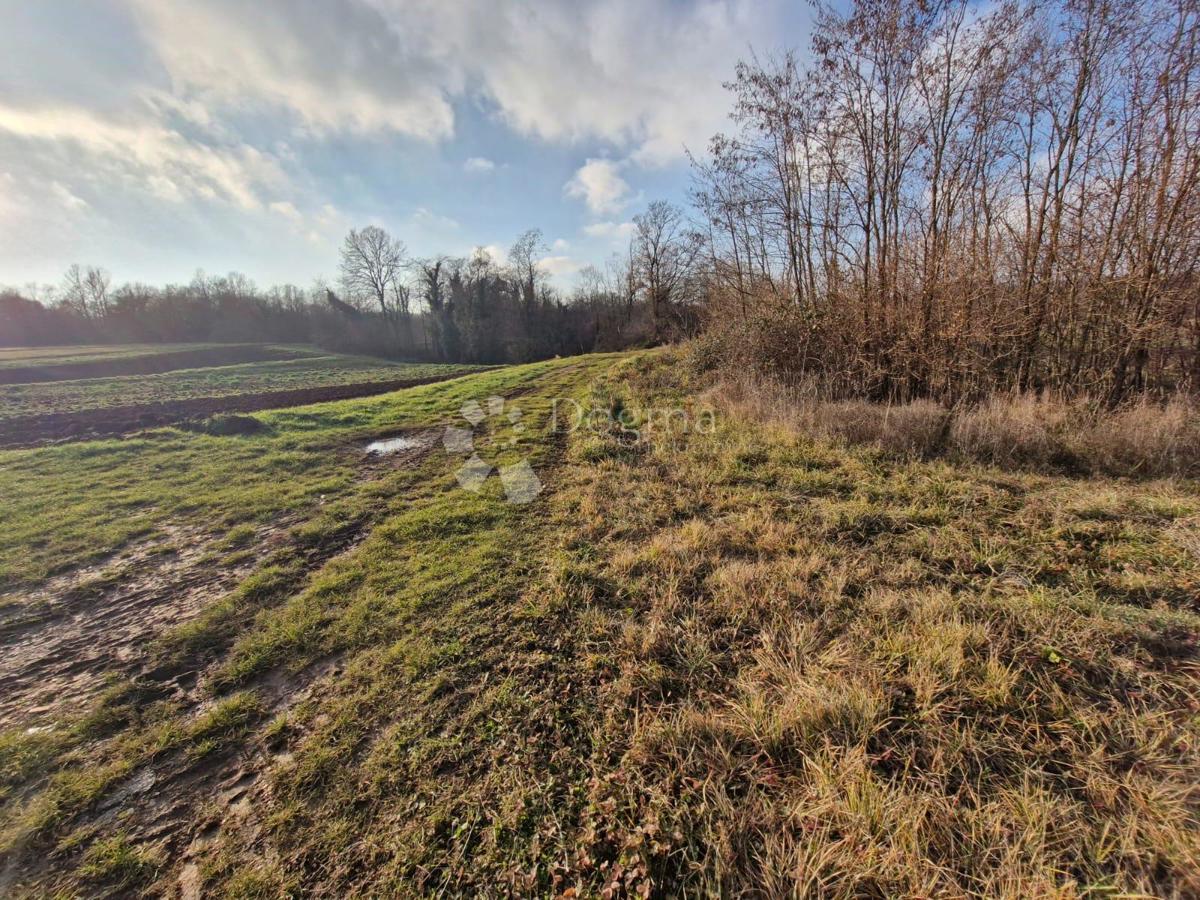 Terreno edificabile Žminj, 1.665m2