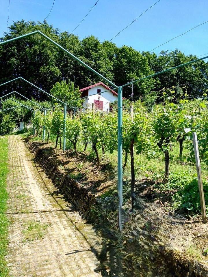 Casa Varaždin Breg, Gornji Kneginec, 74m2