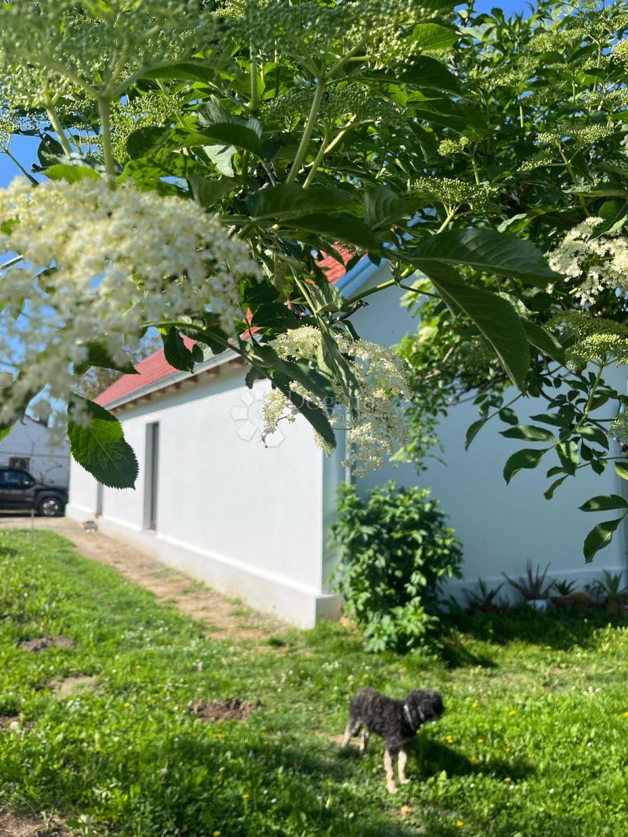 Casa Londžica, Našice, 208m2