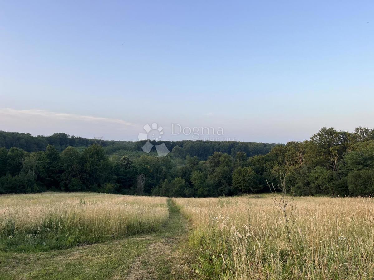 Casa Londžica, Našice, 208m2
