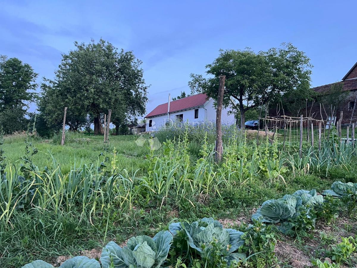 Casa Londžica, Našice, 208m2