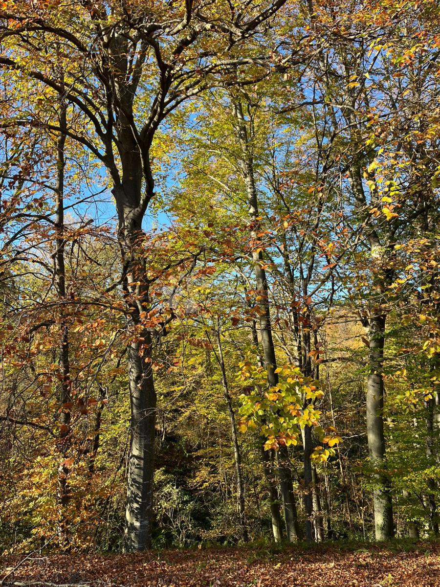 Casa Londžica, Našice, 208m2
