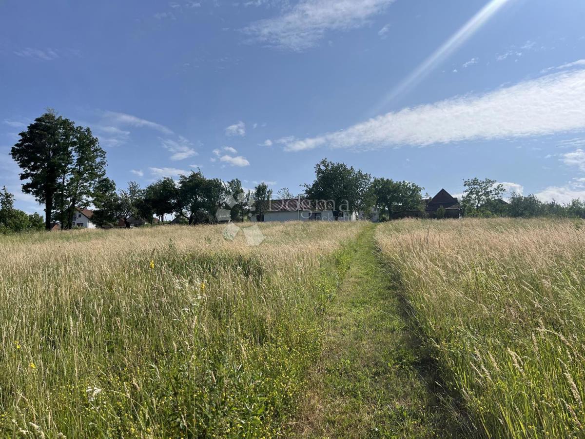 Casa Londžica, Našice, 208m2