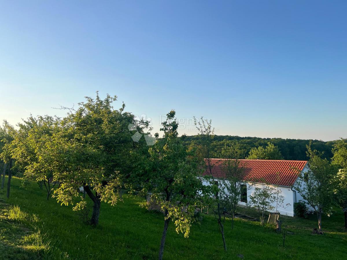 Casa Londžica, Našice, 208m2