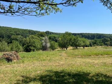 Casa Londžica, Našice, 208m2