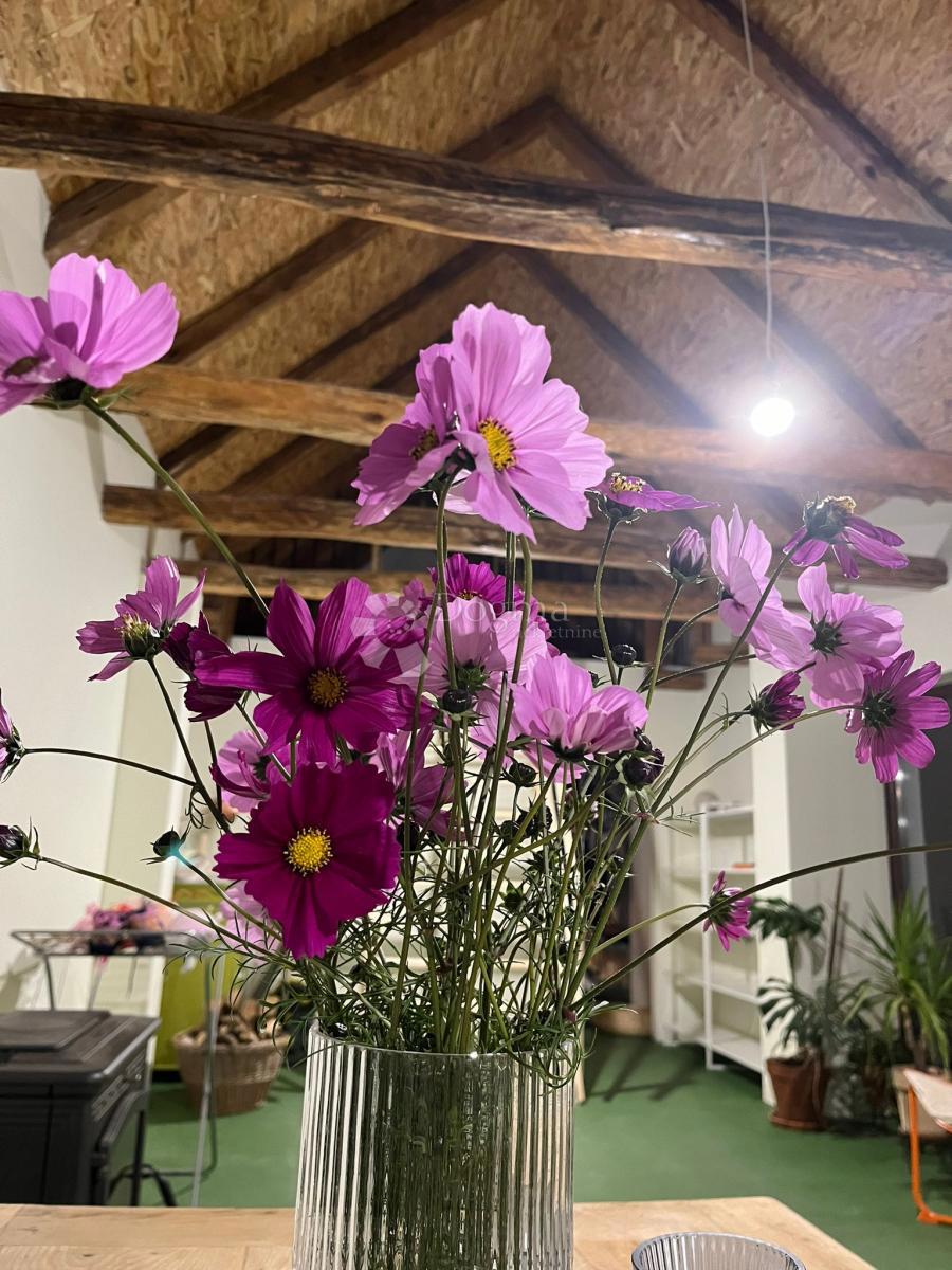 Casa Londžica, Našice, 208m2