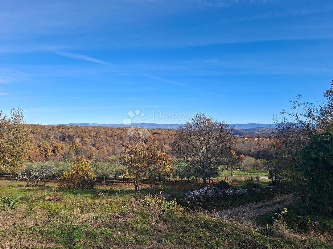 Terreno edificabile Višnjan, 564m2