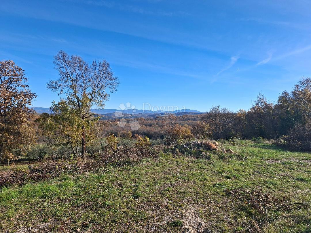 Terreno edificabile Višnjan, 564m2