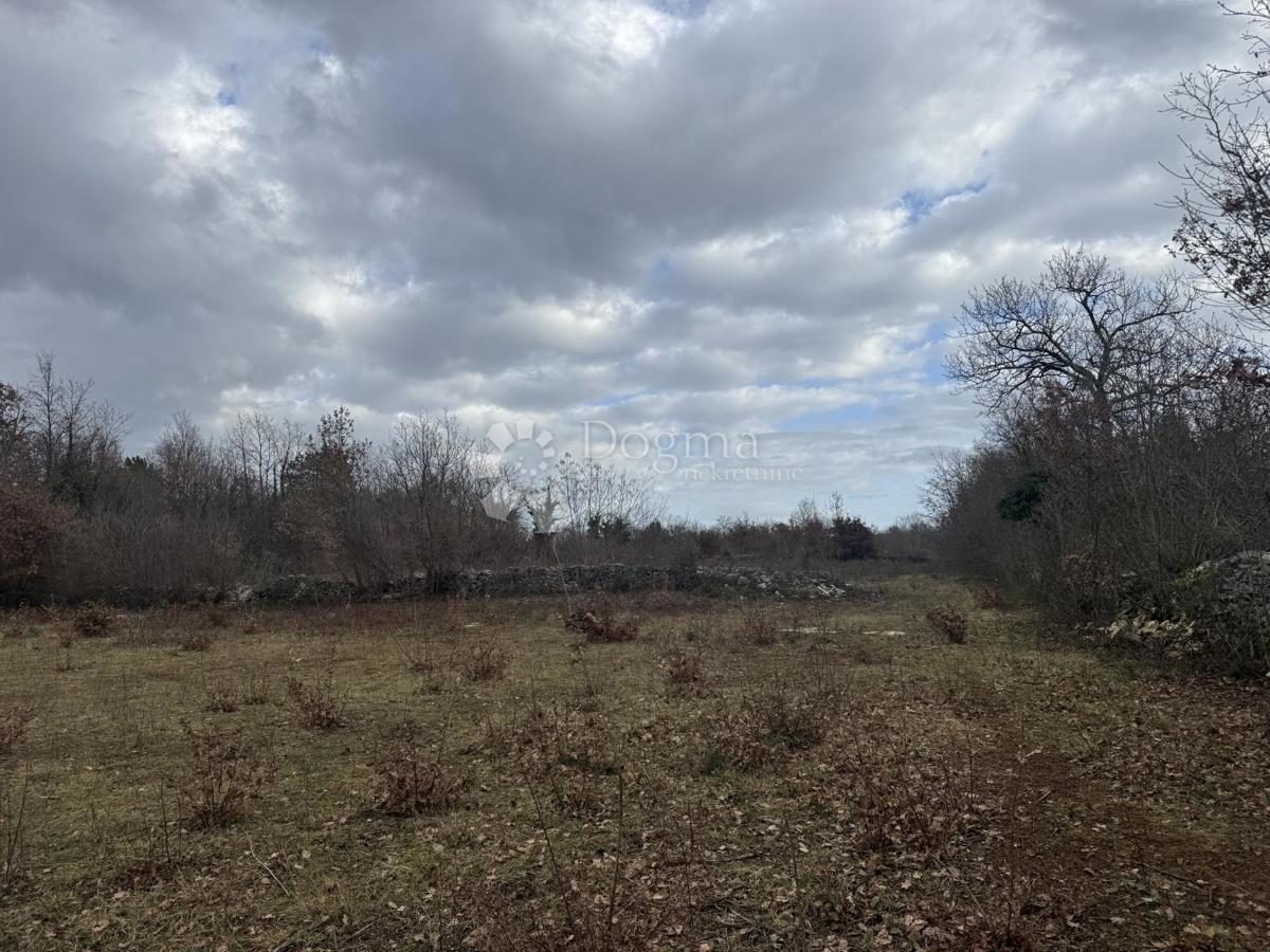 Terreno edificabile Butkovići, Svetvinčenat, 20.120m2