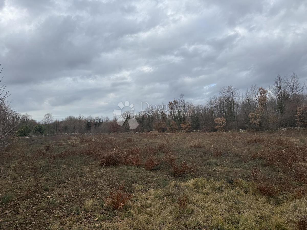 Terreno edificabile Butkovići, Svetvinčenat, 20.120m2