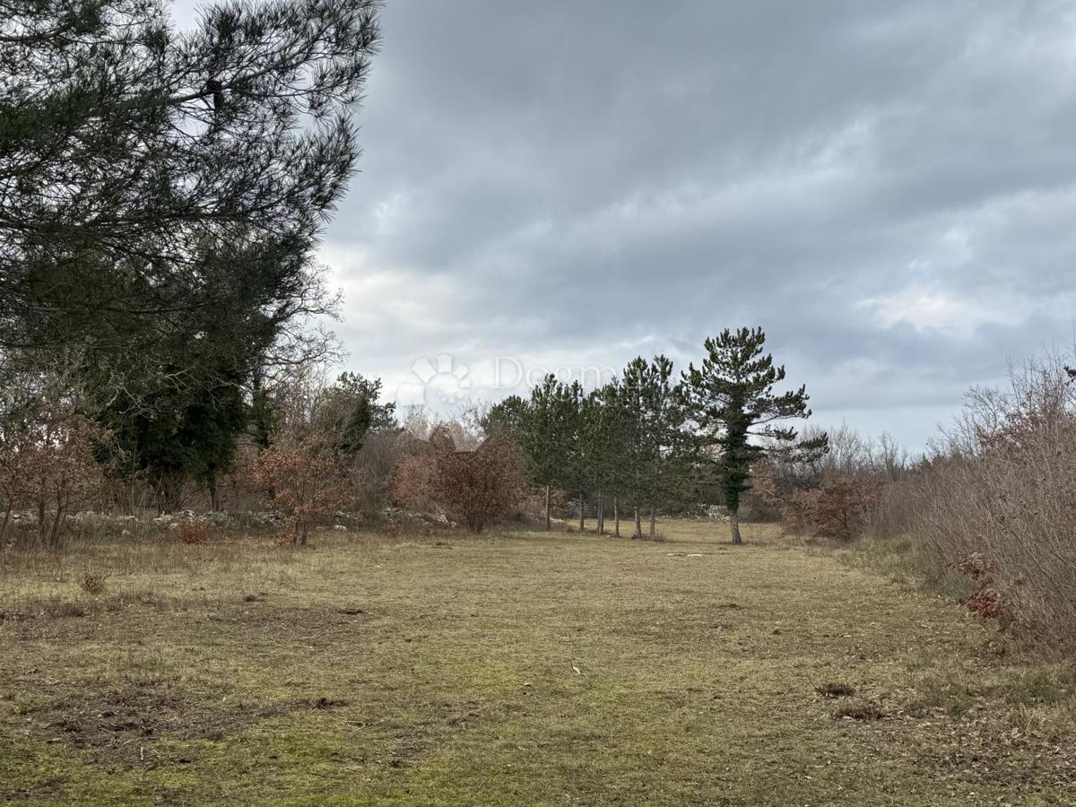 Terreno edificabile Butkovići, Svetvinčenat, 20.120m2