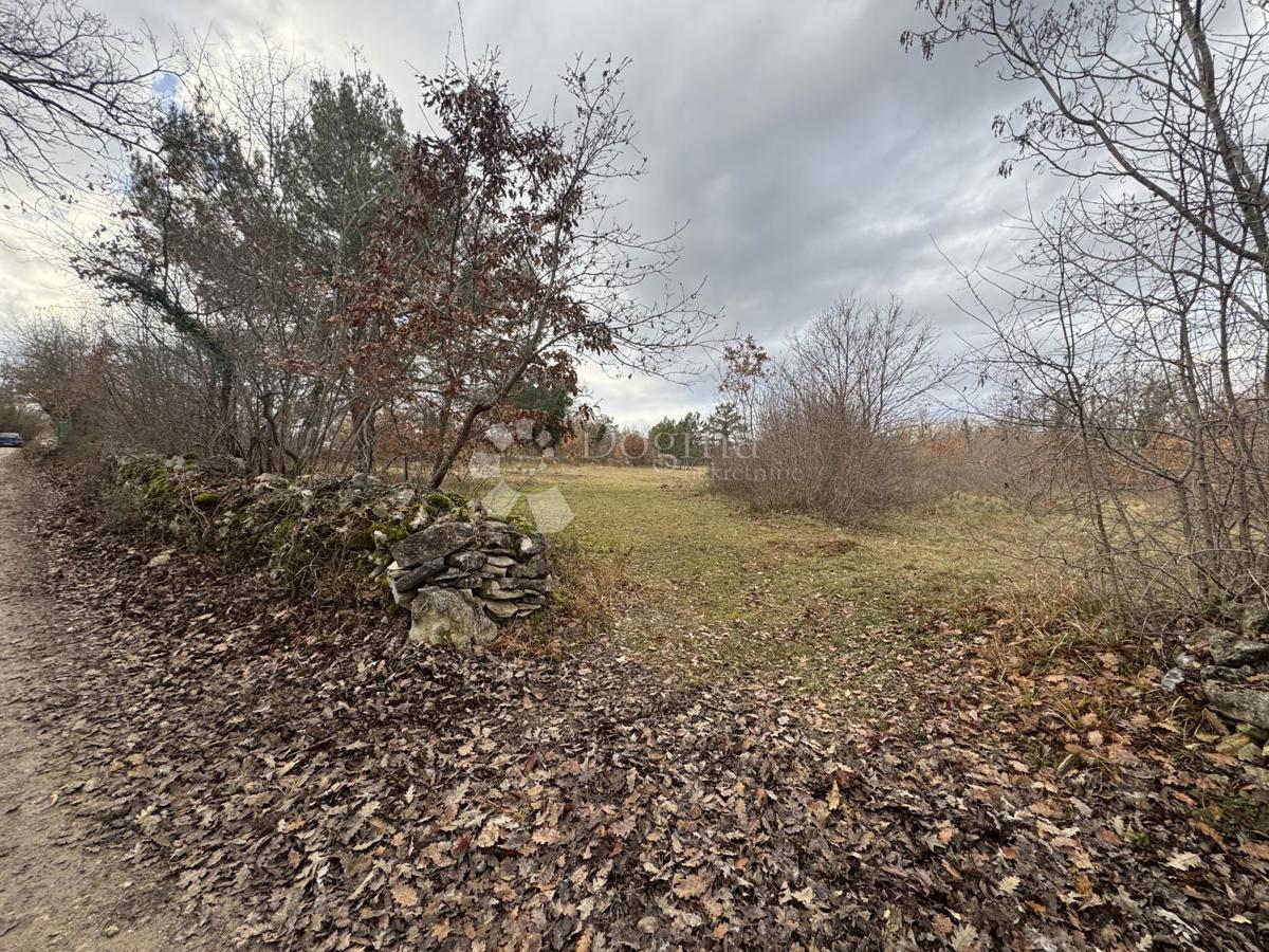Terreno edificabile Butkovići, Svetvinčenat, 20.120m2