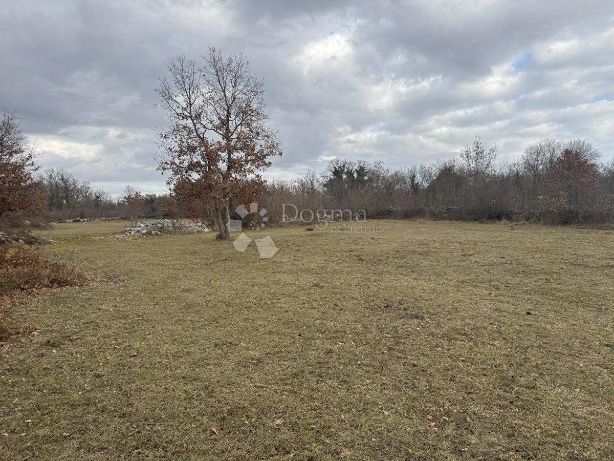 Terreno edificabile Butkovići, Svetvinčenat, 20.120m2