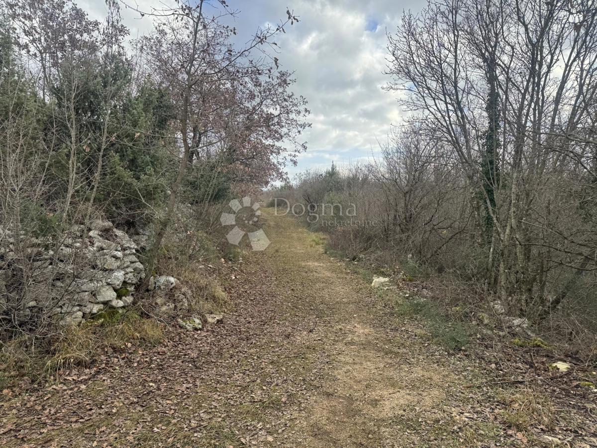 Terreno edificabile Butkovići, Svetvinčenat, 20.120m2