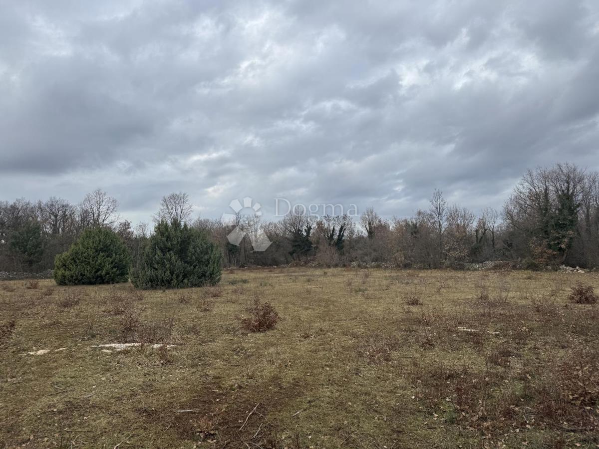 Terreno edificabile Butkovići, Svetvinčenat, 20.120m2