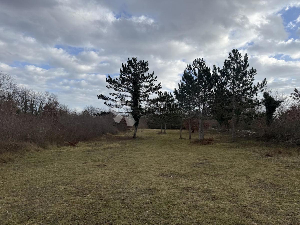 Terreno edificabile Butkovići, Svetvinčenat, 20.120m2