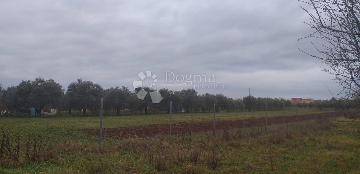 Terreno agricolo Finida, Umag, 4.485m2