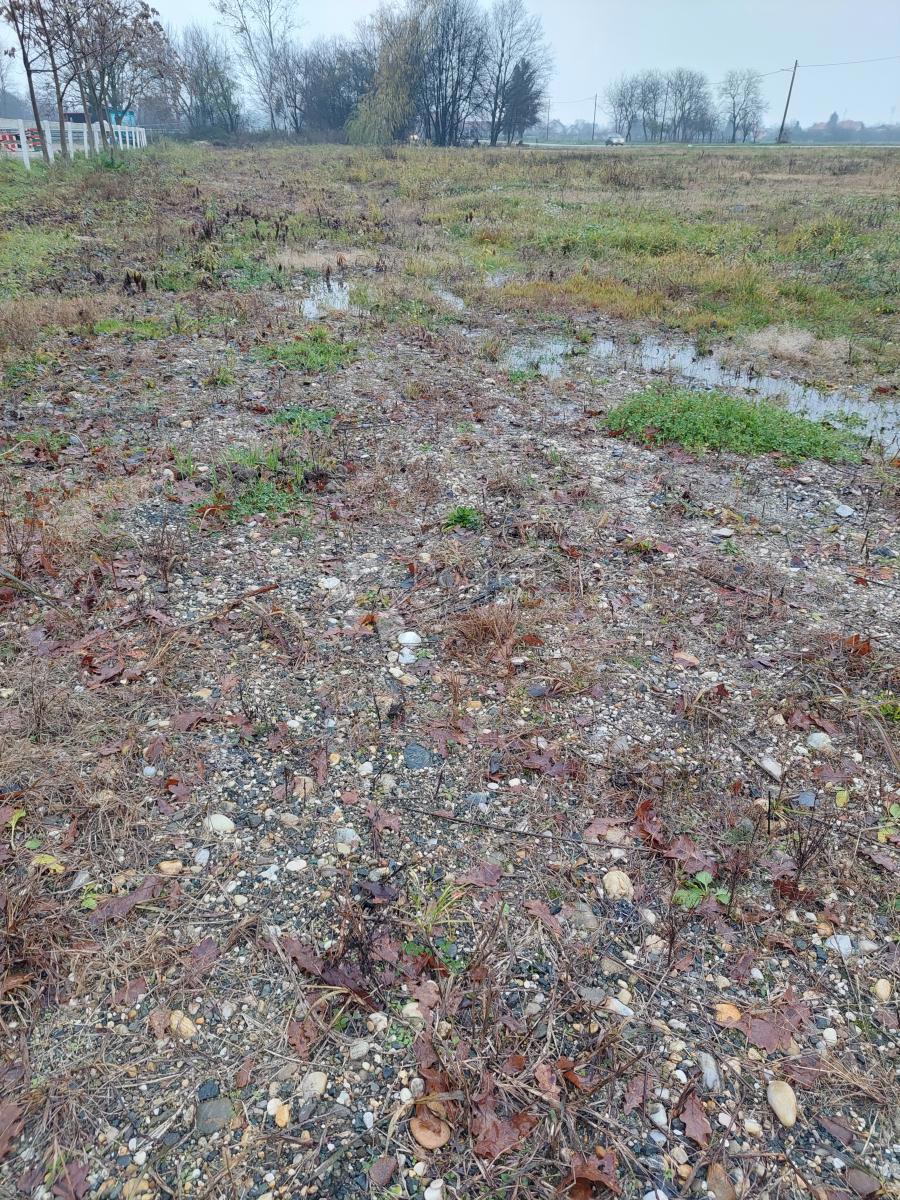 Terreno edificabile Biškupec, Varaždin, 3.581m2