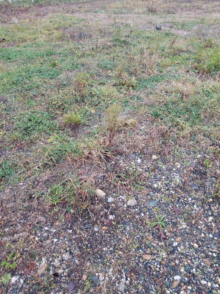 Terreno edificabile Biškupec, Varaždin, 3.581m2