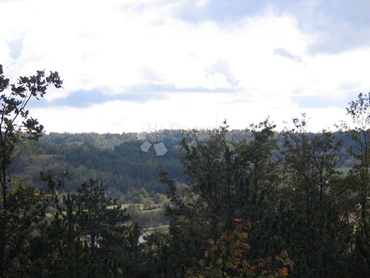 Terreno Edificabile (2000 m²) con Ampia Foresta (36.789 m²)