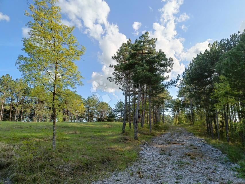 Terreno Edificabile (2000 m²) con Ampia Foresta (36.789 m²)