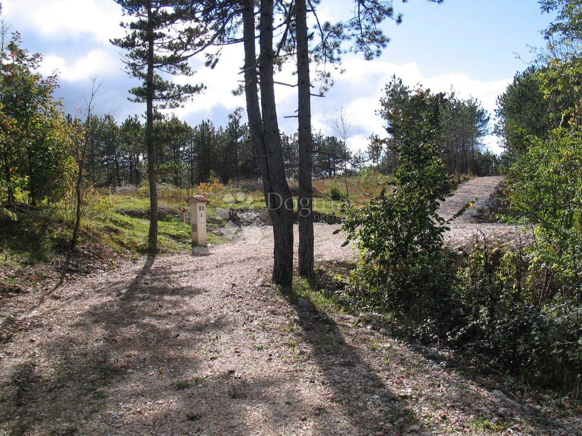 Terreno Edificabile (2000 m²) con Ampia Foresta (36.789 m²)