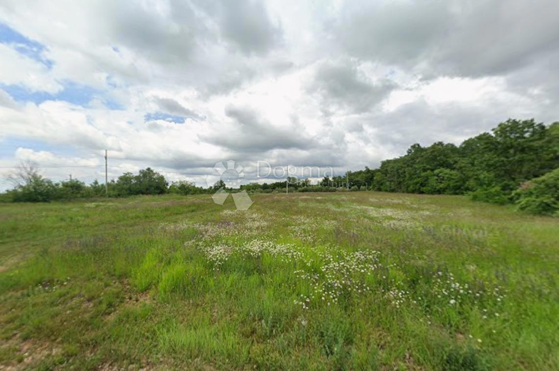 Terreno edificabile Sveti Lovreč, 3.000m2