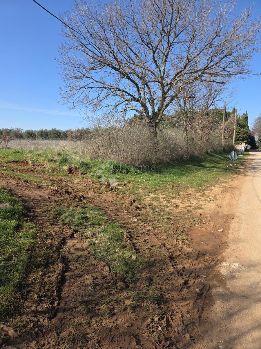 Terreno edificabile Kaštelir, Kaštelir-Labinci, 599m2