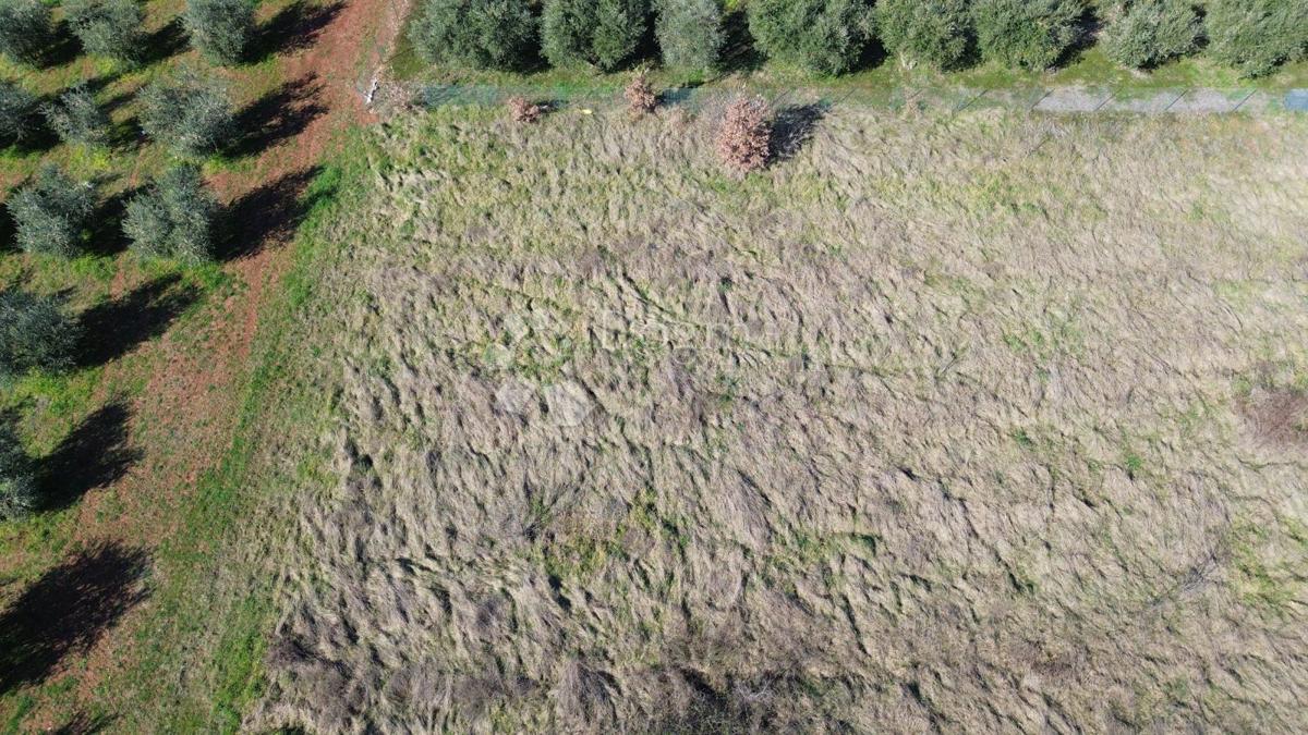 Terreno edificabile Kaštelir, Kaštelir-Labinci, 599m2