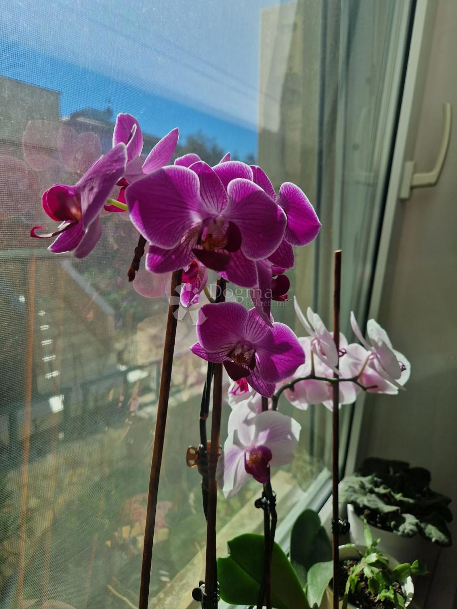 Appartamento Diklo, Zadar, 56,20m2