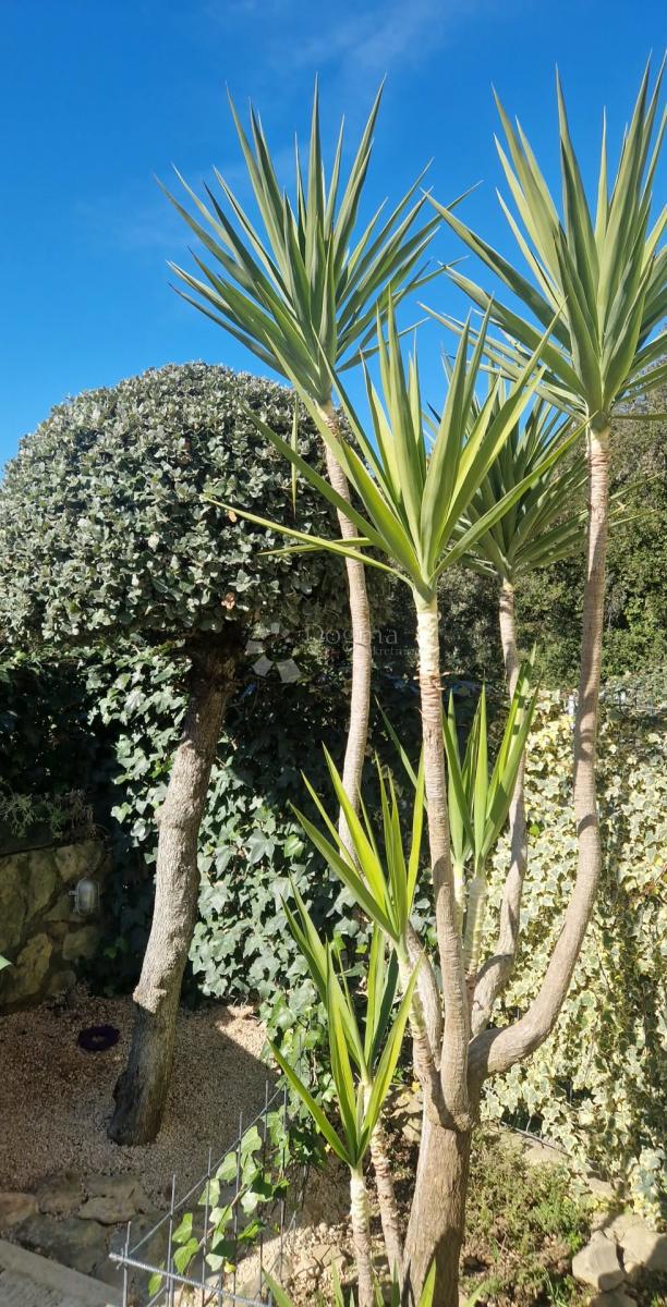 Appartamento Diklo, Zadar, 56,20m2