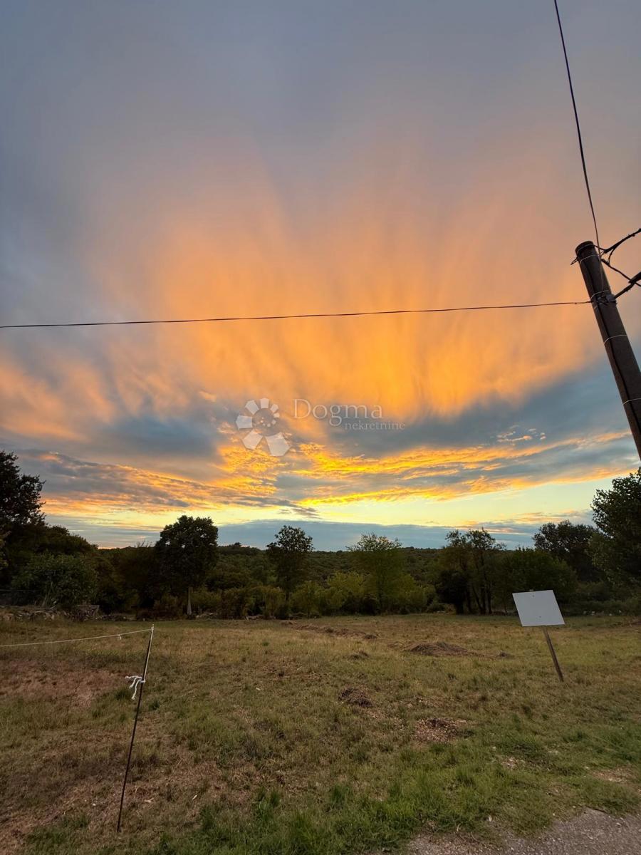 Terreno edificabile Buje, 493m2