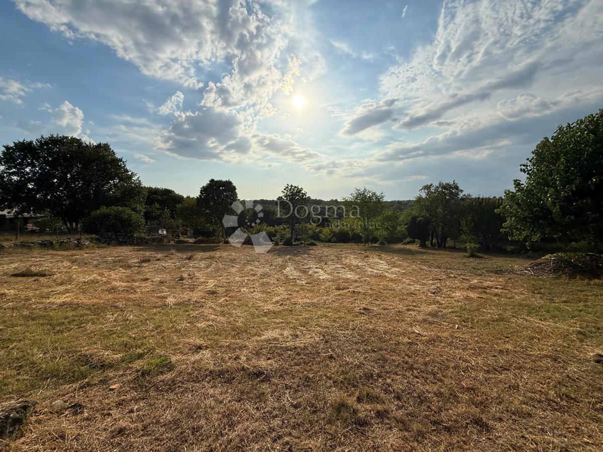 Terreno edificabile Buje, 493m2