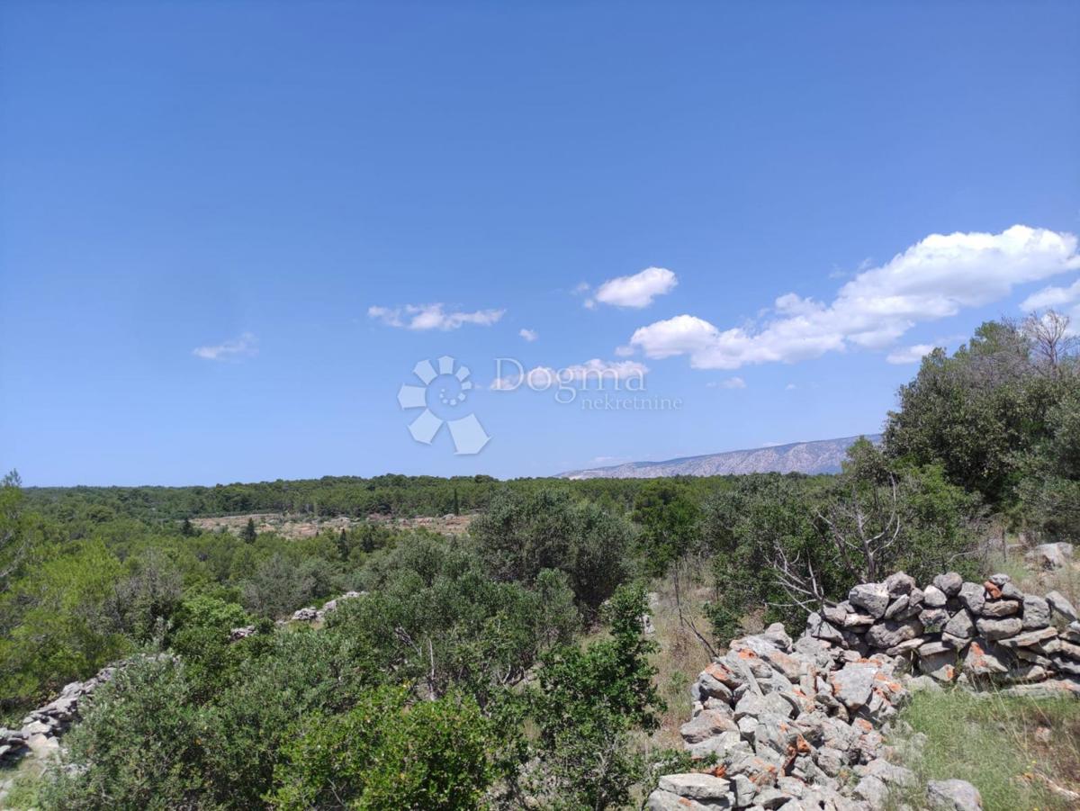 Terreno agricolo Hvar, 13.543m2