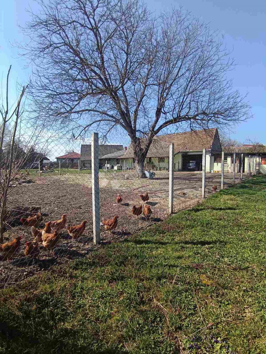 Casa Brođanci, Bizovac, 75m2