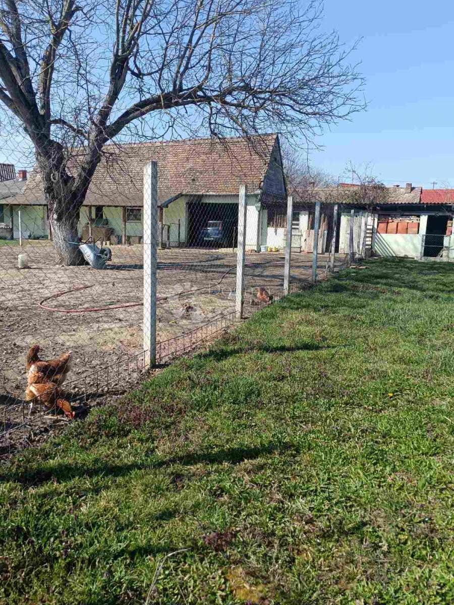 Casa Brođanci, Bizovac, 75m2