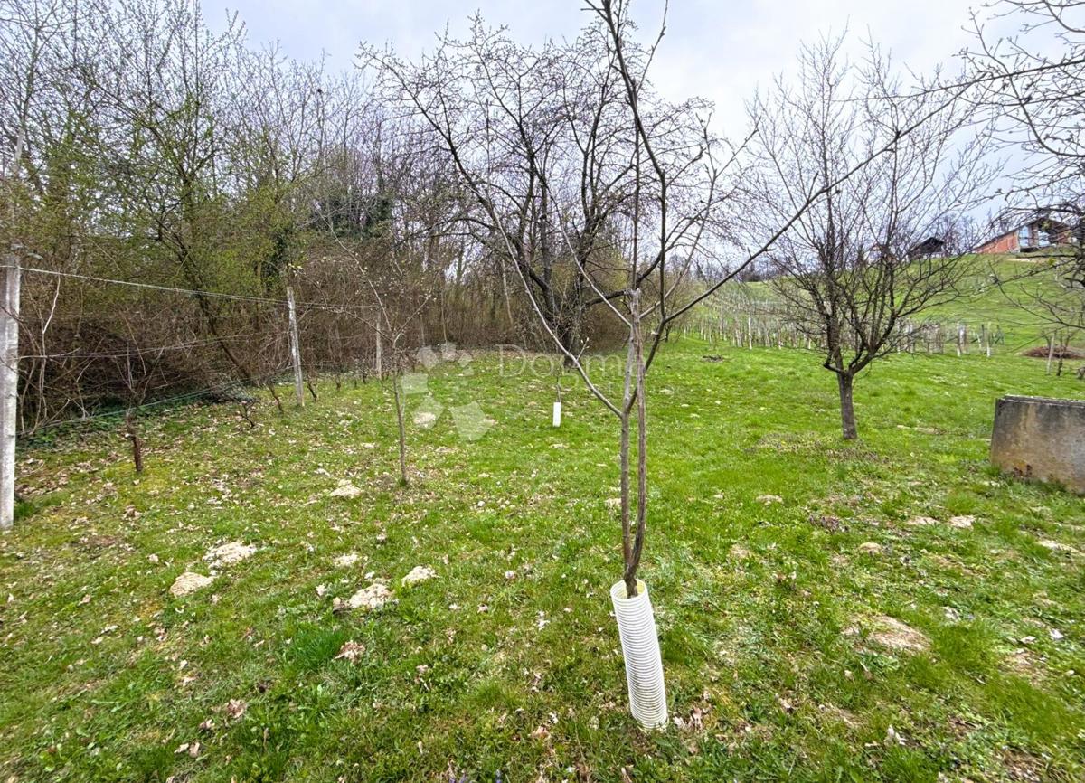 Casa Donji Koncovčak, Selnica, 37m2