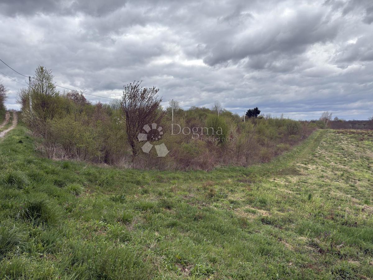 Terreno edificabile Paukovec, Sveti Ivan Zelina, 6.150m2