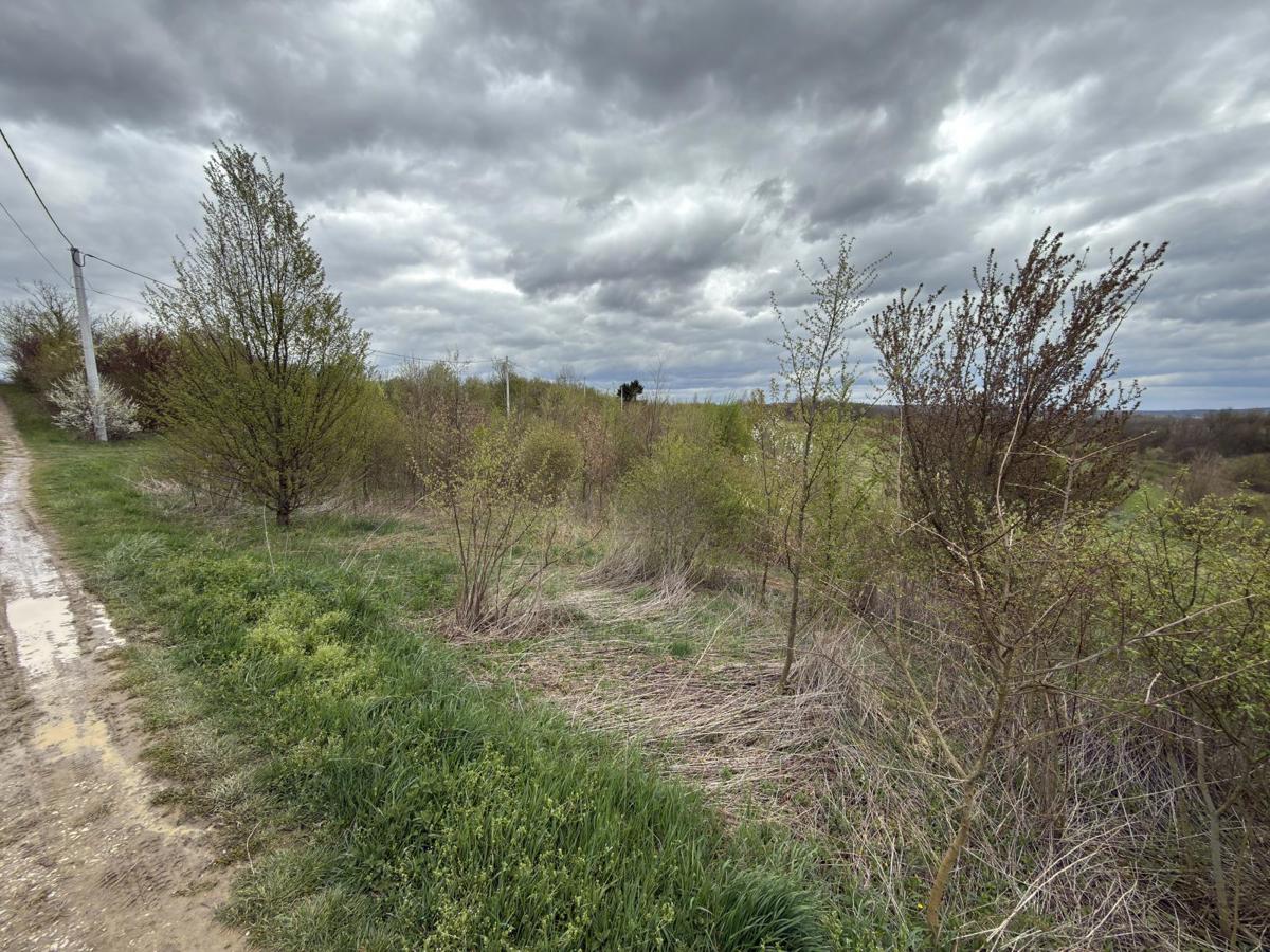 Terreno edificabile Paukovec, Sveti Ivan Zelina, 6.150m2