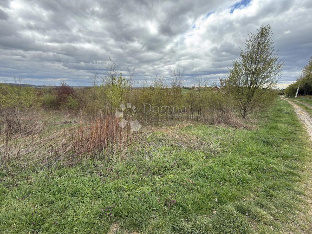 Terreno edificabile Paukovec, Sveti Ivan Zelina, 6.150m2