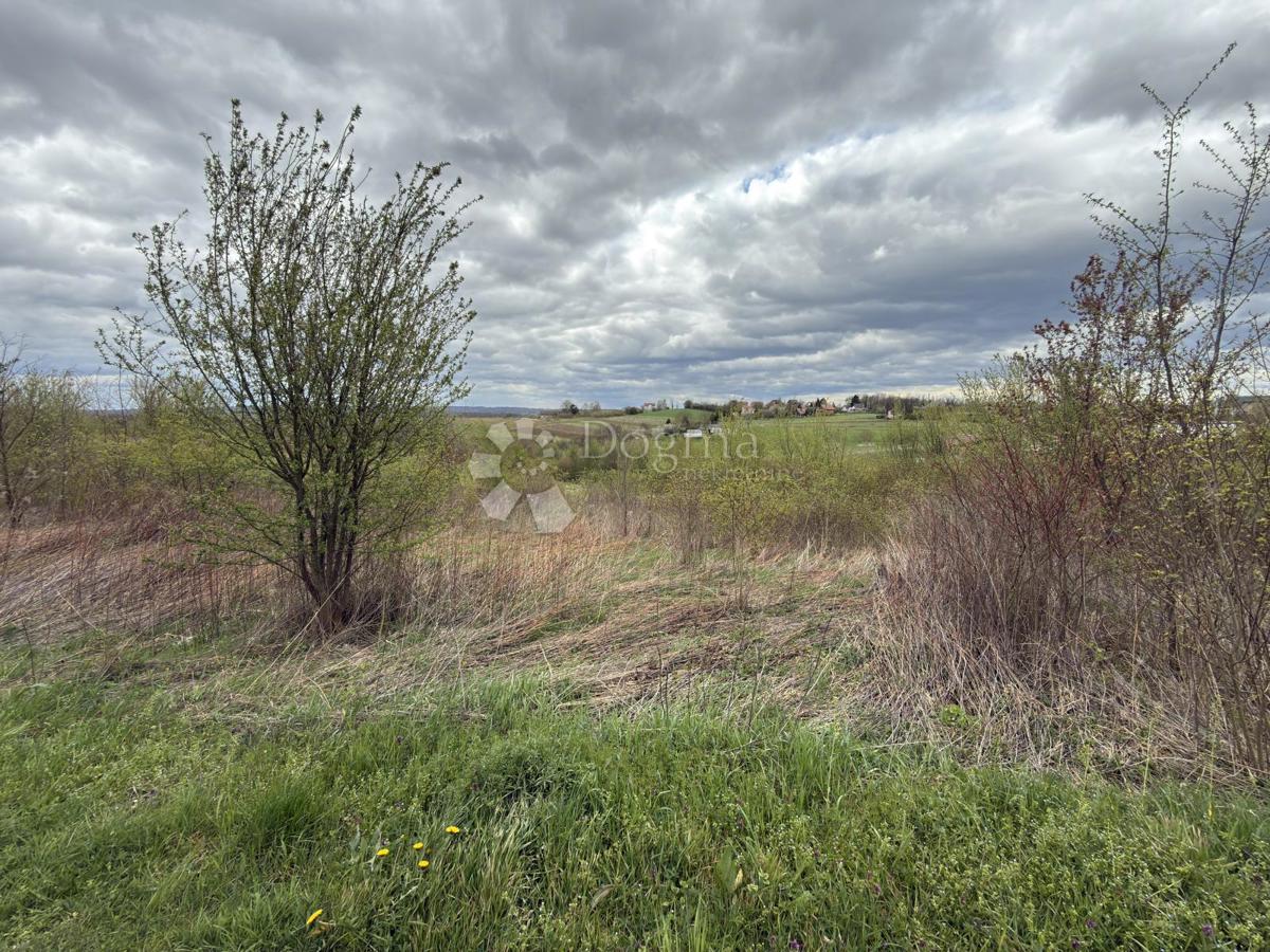 Terreno edificabile Paukovec, Sveti Ivan Zelina, 6.150m2