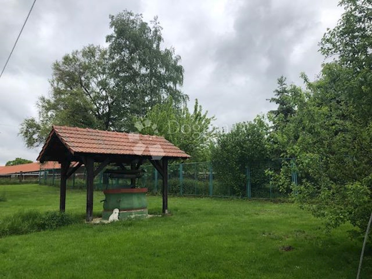 Terreno Habjanovac, Dubrava, 84.000m2